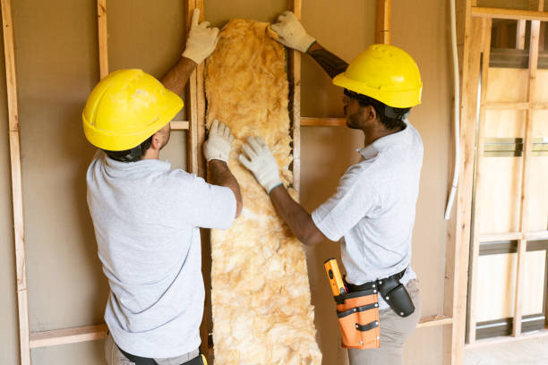 Best Blown-In Insulation  in Center, TX